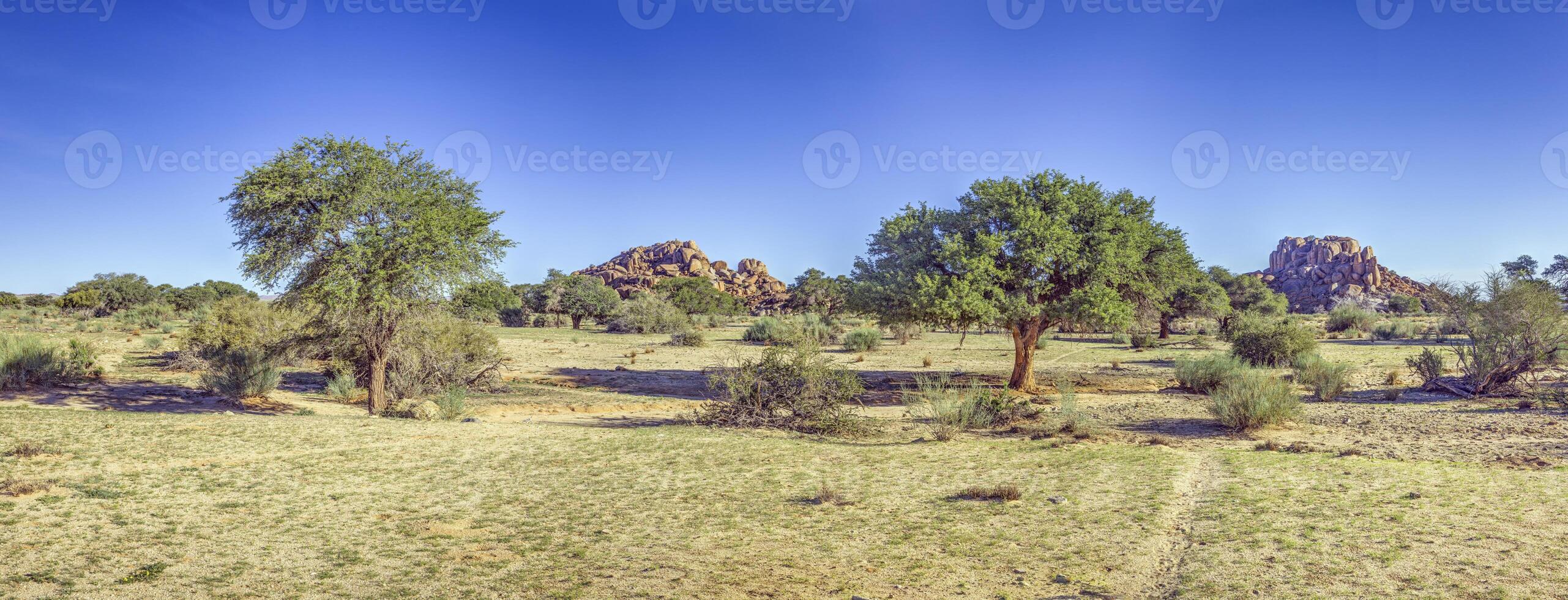 öken- landskap på fisk flod kanjon i namibia med akacia träd och klippig häll under klar blå himmel foto