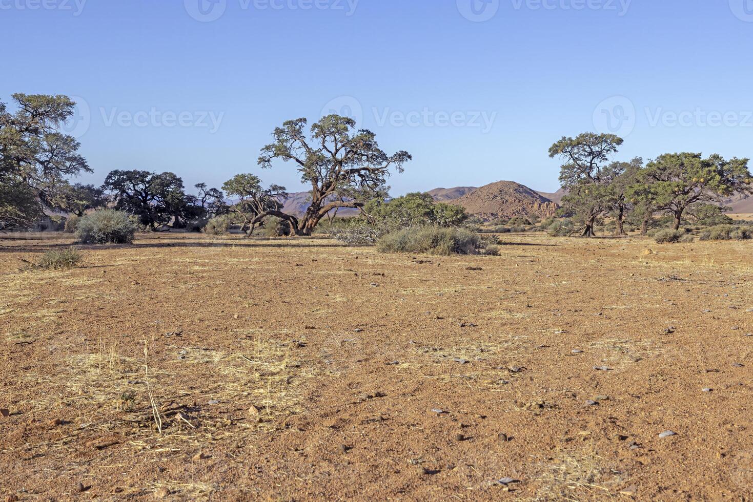 bild av de unik landskap av de tiras bergen på de kant av de namib öken- i namibia foto