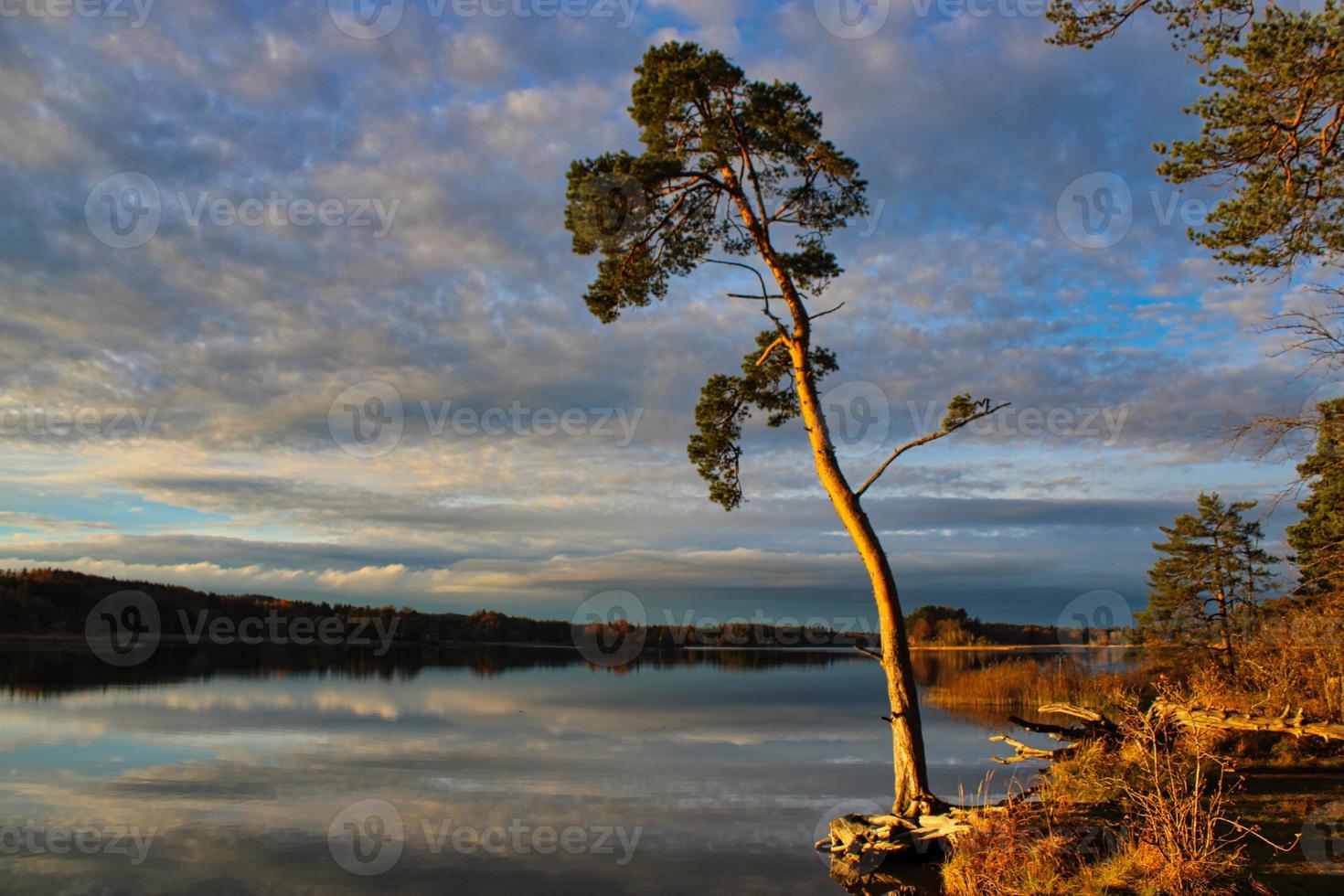 romantiskt foto av en sjö med perfekta solreflektioner på vattnet