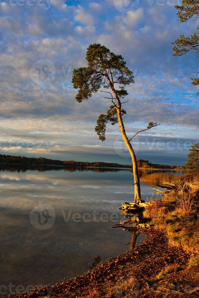 romantiskt foto av en sjö med perfekta solreflektioner på vattnet