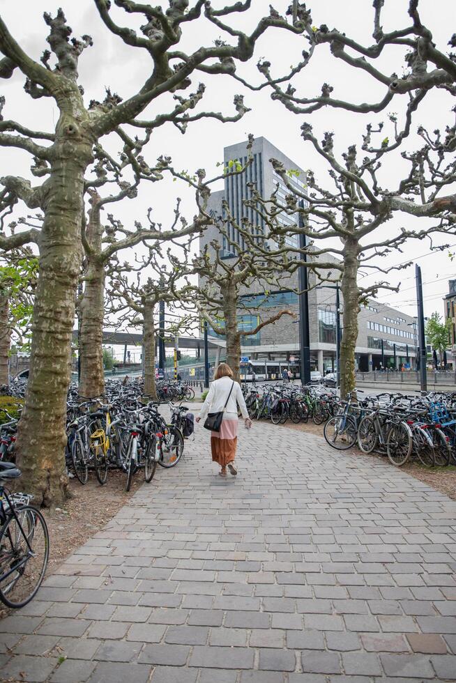 Gent, Belgien, Maj 5, 2022, virginie älskande byggnad, flamländska gemenskap centrum, parkering massa med cyklar i stad foto