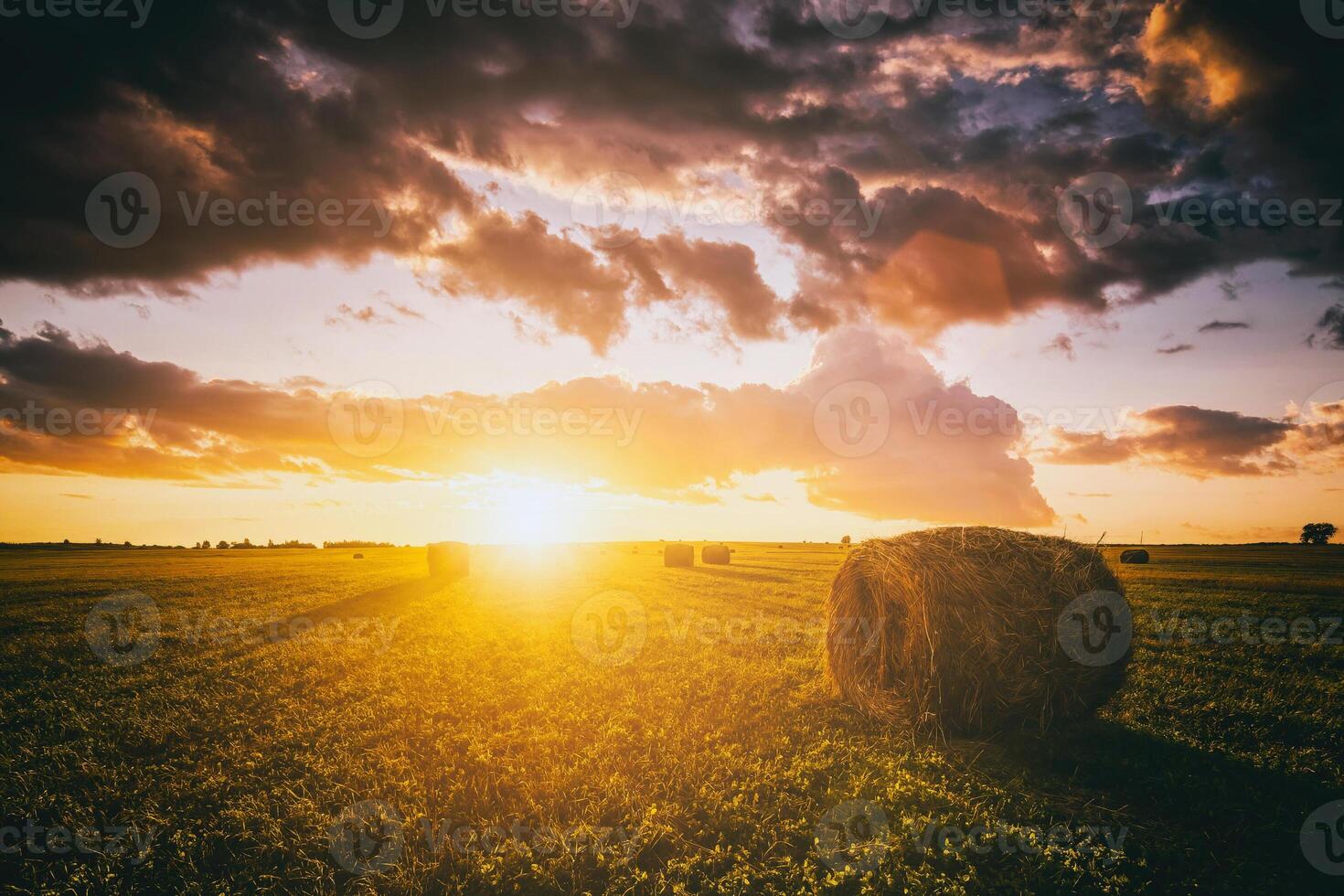 solnedgång i en fält med höstackar på en sommar eller tidigt höst kväll med en molnig himmel i de bakgrund. anskaffning av djur- utfodra i lantbruk. årgång filma estetisk. foto