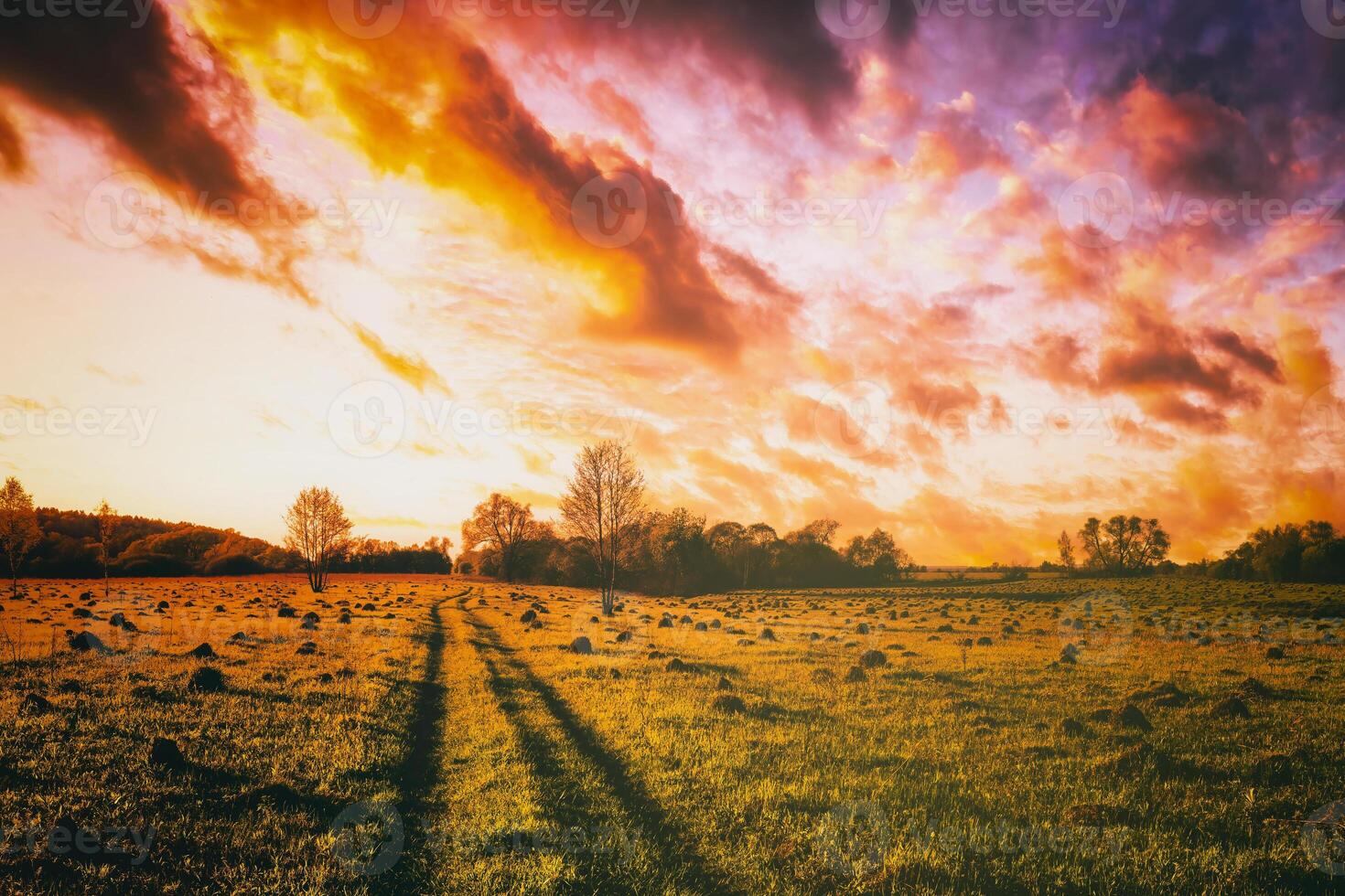 solnedgång eller soluppgång i en vår fält med grön gräs, vide träd och molnig himmel. årgång filma estetisk. foto