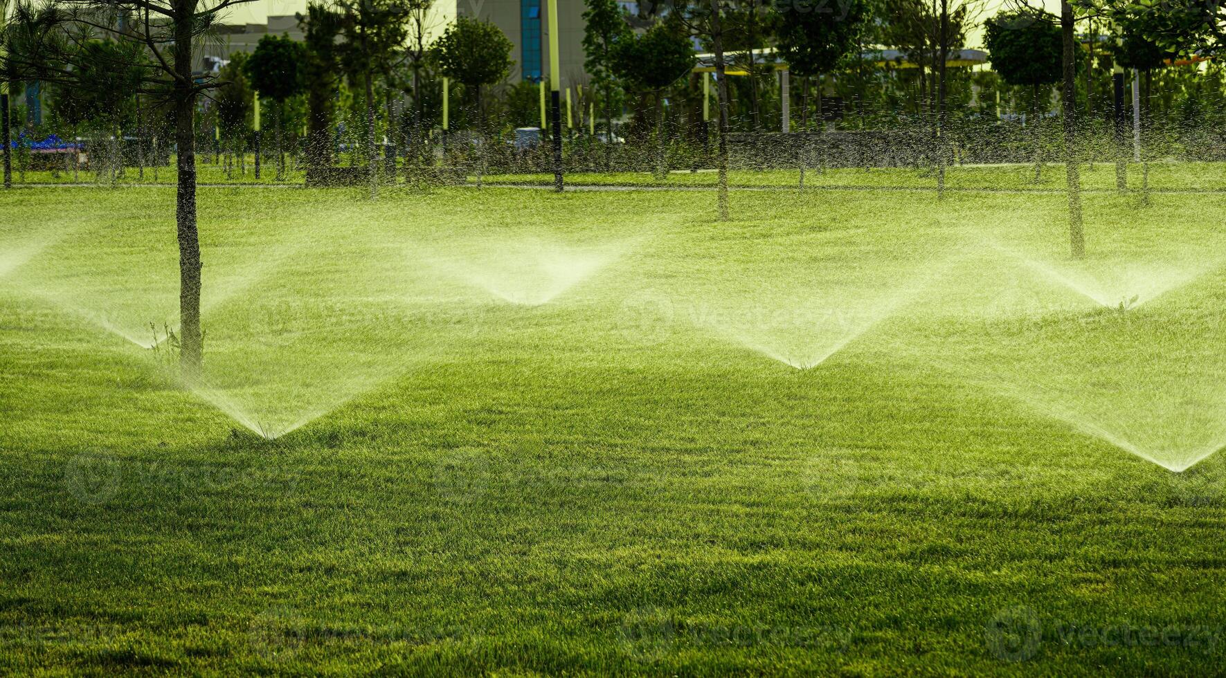 automatisk gräsmatta vattning systemet vattning de ung grön gräsmatta gräs i de parkera. foto