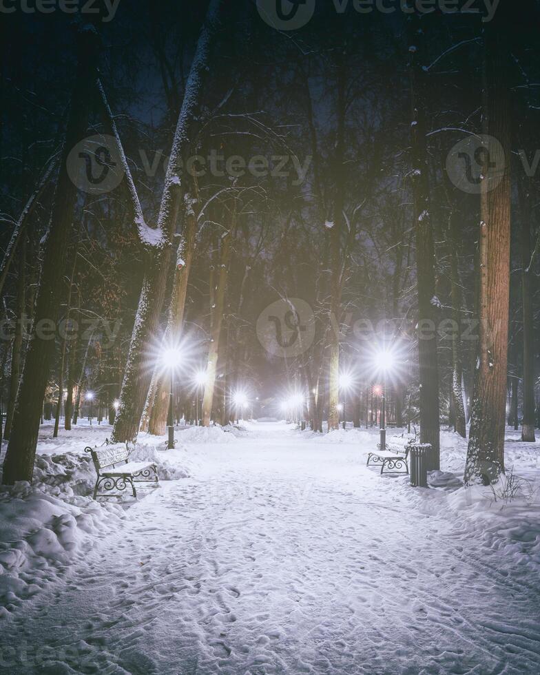 vinter- natt parkera med träd, lysande lyktor och bänkar täckt med snö. årgång filma estetisk. foto