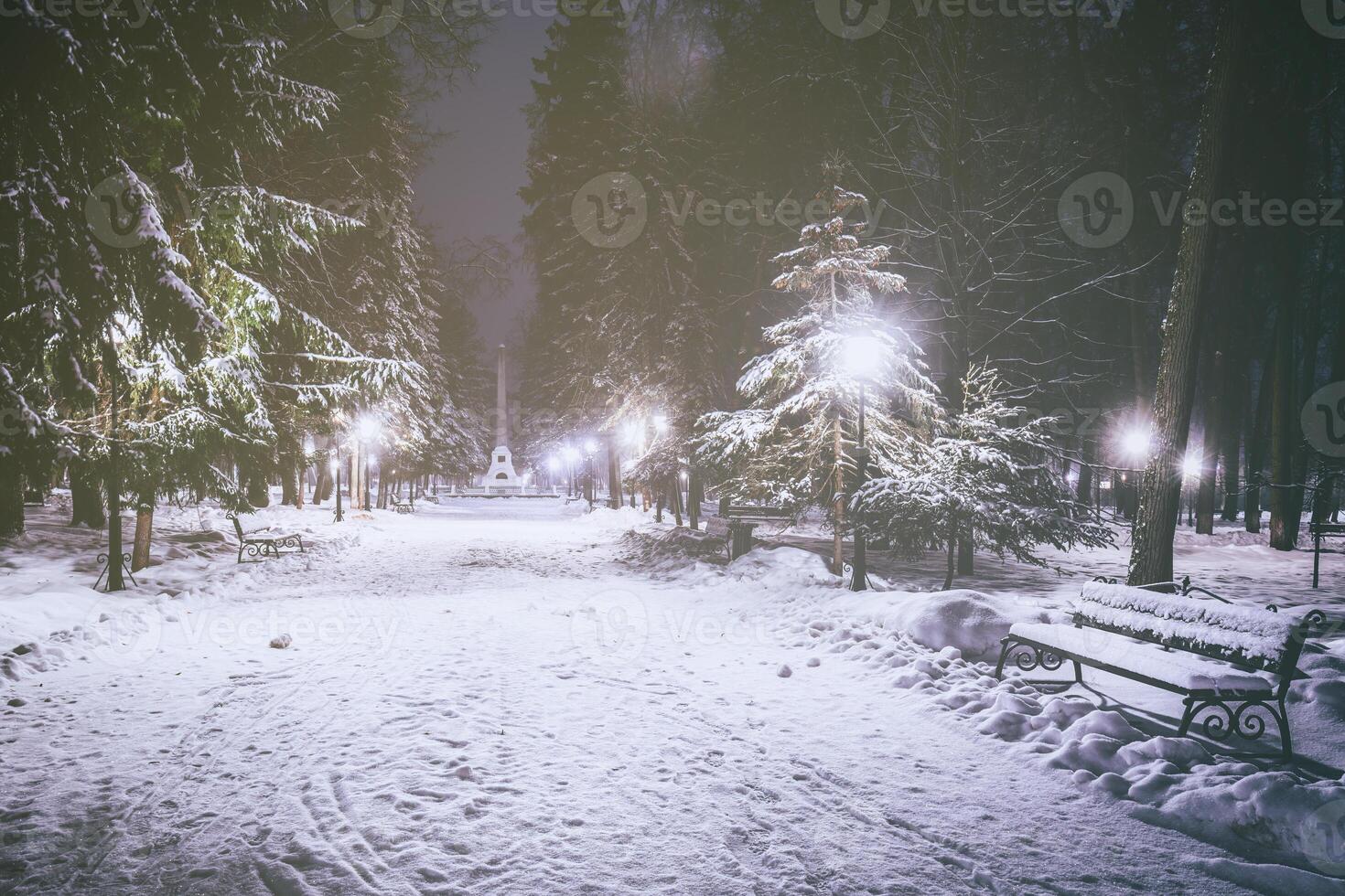 vinter- natt parkera med träd, lysande lyktor och bänkar täckt med snö. årgång filma estetisk. foto