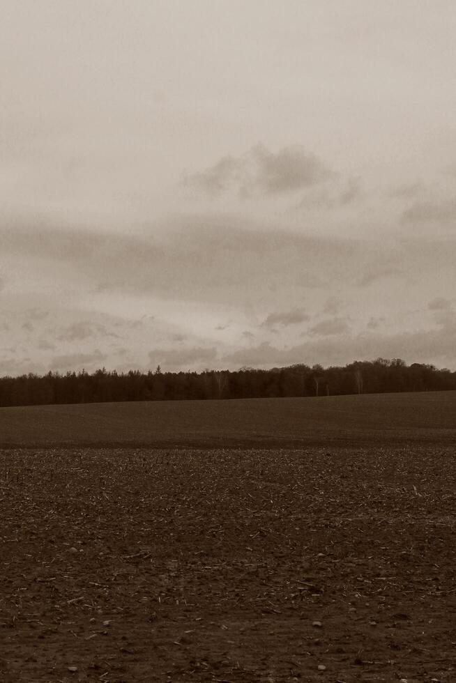 natur bakgrund Foto