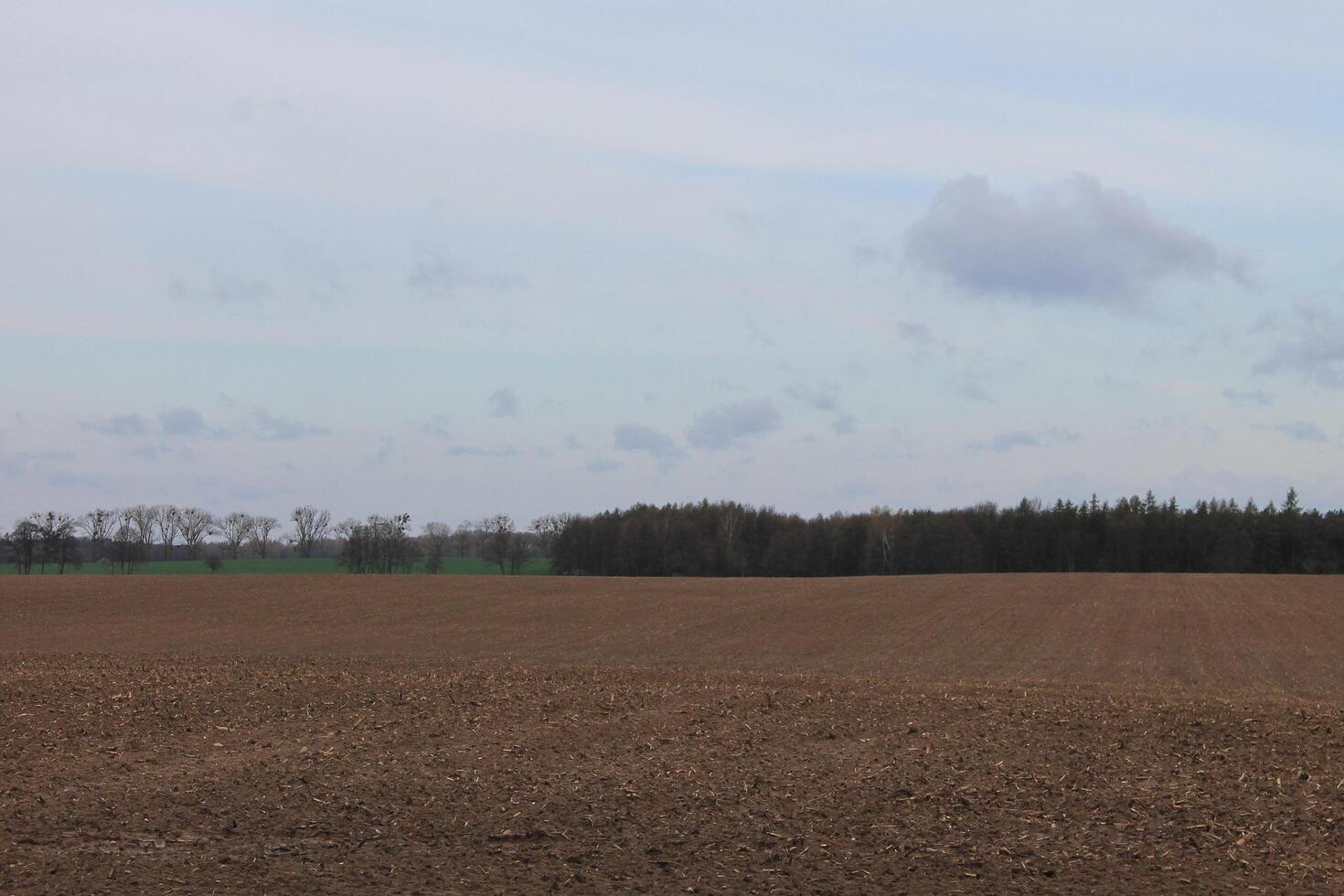 natur bakgrund Foto