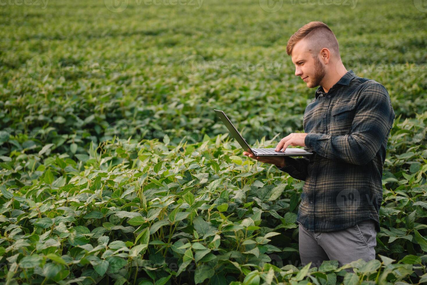 ung agronom innehar läsplatta Rör vaddera dator i de soja fält och granskning gröda innan skörd. jordbruksnäringen begrepp. jordbruks ingenjör stående i en soja fält med en läsplatta i sommar. foto