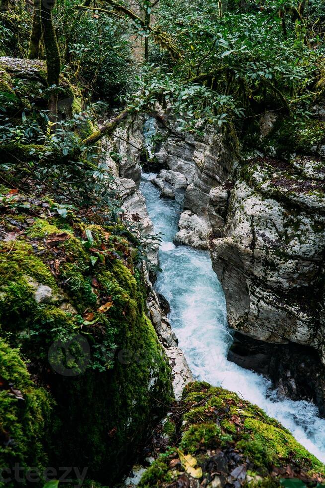 vit sten kanjon djungel och berg skog vandring, khosta flod längs klippor foto