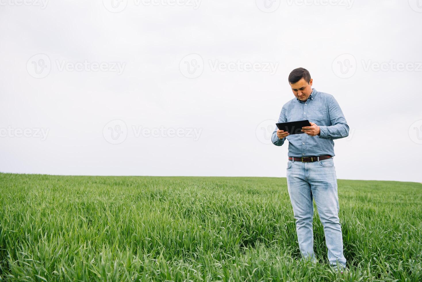 ung agronom innehar läsplatta Rör vaddera dator i grön vete fält. jordbruksnäringen begrepp. jordbruks ingenjör stående i en vete fält med en läsplatta i sommar. foto