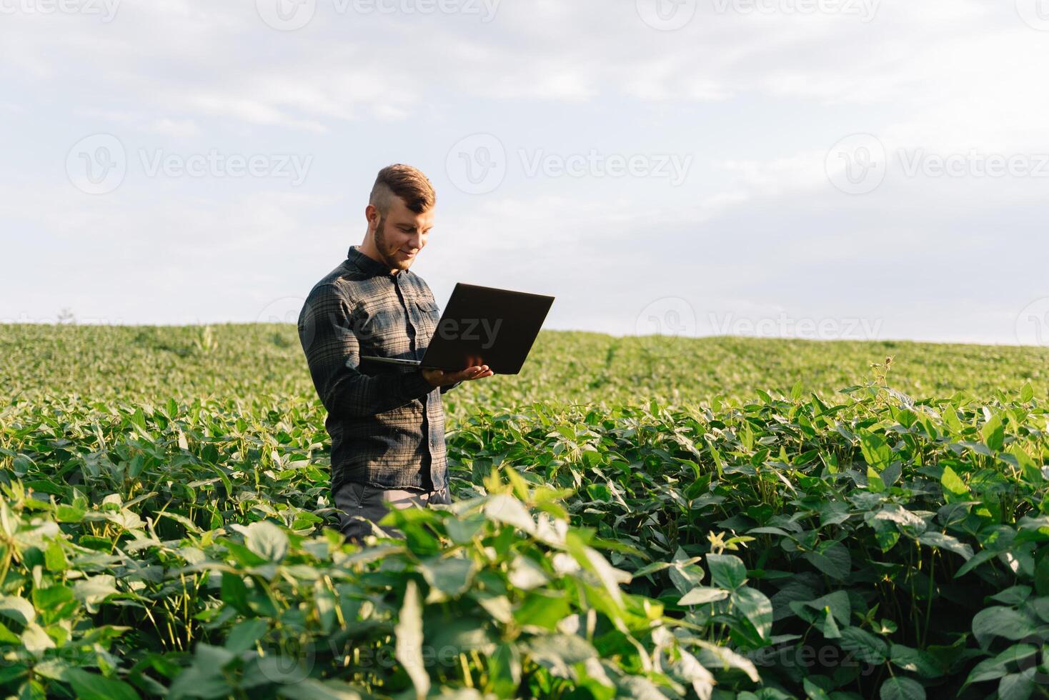 ung agronom innehar läsplatta Rör vaddera dator i de soja fält och granskning gröda innan skörd. jordbruksnäringen begrepp. jordbruks ingenjör stående i en soja fält med en läsplatta i sommar. foto