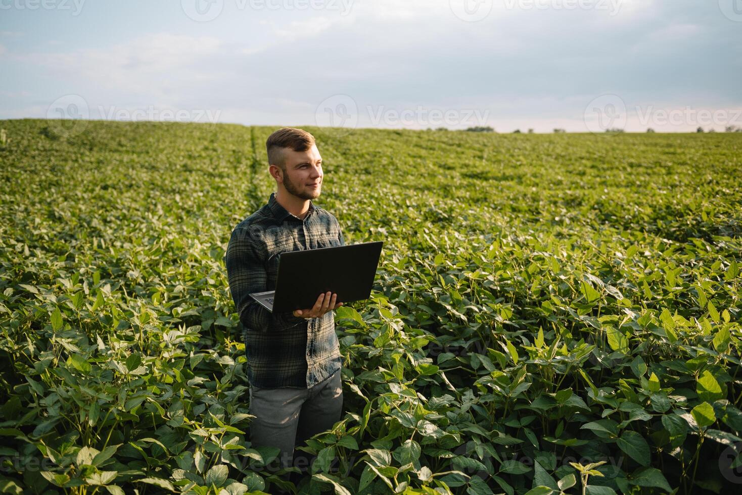 ung agronom innehar läsplatta Rör vaddera dator i de soja fält och granskning gröda innan skörd. jordbruksnäringen begrepp. jordbruks ingenjör stående i en soja fält med en läsplatta i sommar. foto