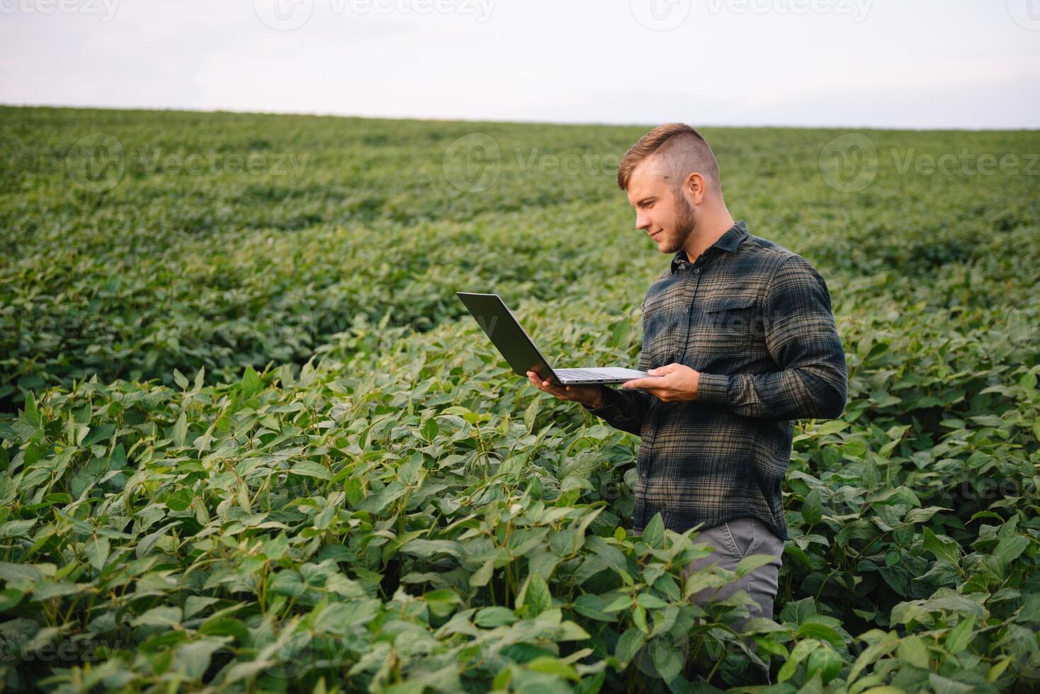 ung agronom innehar läsplatta Rör vaddera dator i de soja fält och granskning gröda innan skörd. jordbruksnäringen begrepp. jordbruks ingenjör stående i en soja fält med en läsplatta i sommar. foto