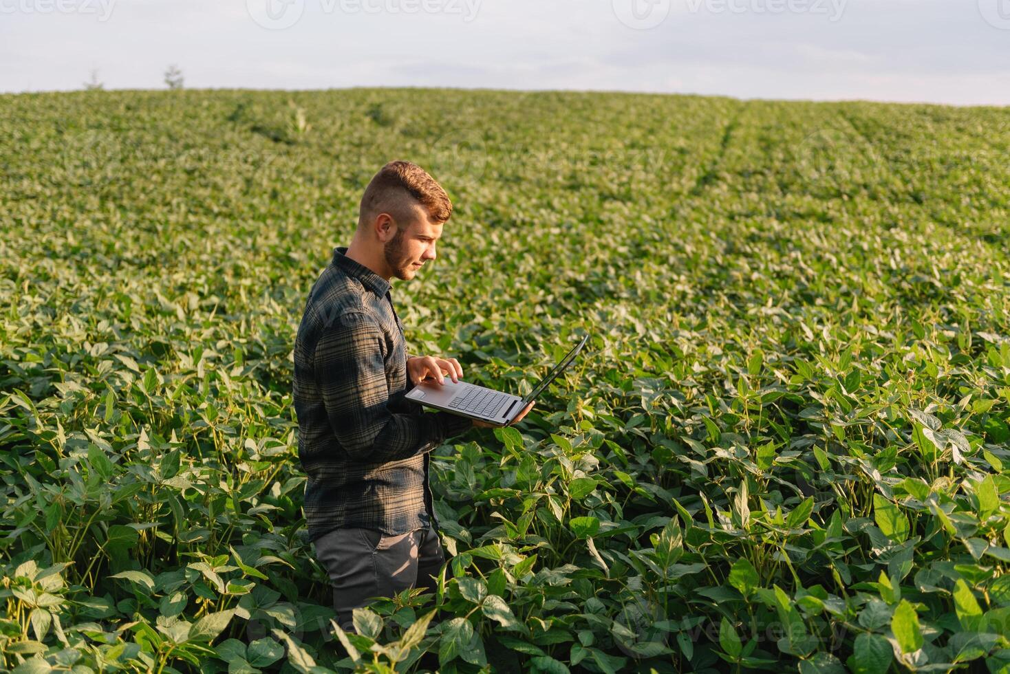 ung agronom innehar läsplatta Rör vaddera dator i de soja fält och granskning gröda innan skörd. jordbruksnäringen begrepp. jordbruks ingenjör stående i en soja fält med en läsplatta i sommar. foto