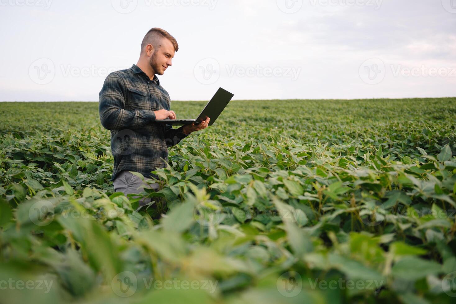 ung agronom innehar läsplatta Rör vaddera dator i de soja fält och granskning gröda innan skörd. jordbruksnäringen begrepp. jordbruks ingenjör stående i en soja fält med en läsplatta i sommar. foto