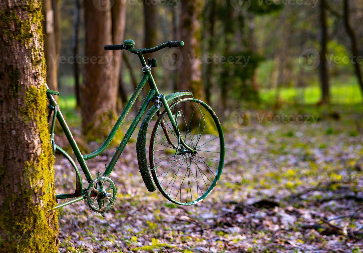 ett gammal cykel på en träd trunk i de skog foto