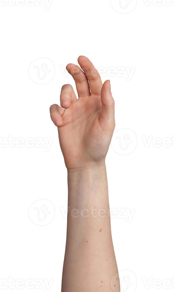 vit bakgrund, kvinna hand gest. som visar handflatan, tömma handled tecken. företag begrepp, isolerat foto