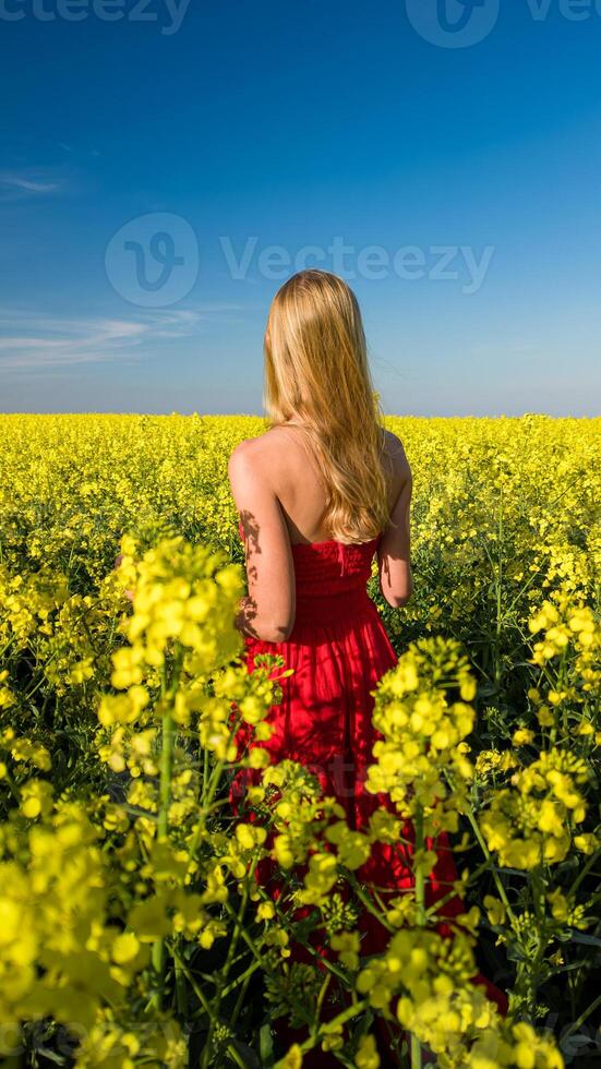 caucasian kvinna i röd klänning i naturskön gul rapsfrö fält foto