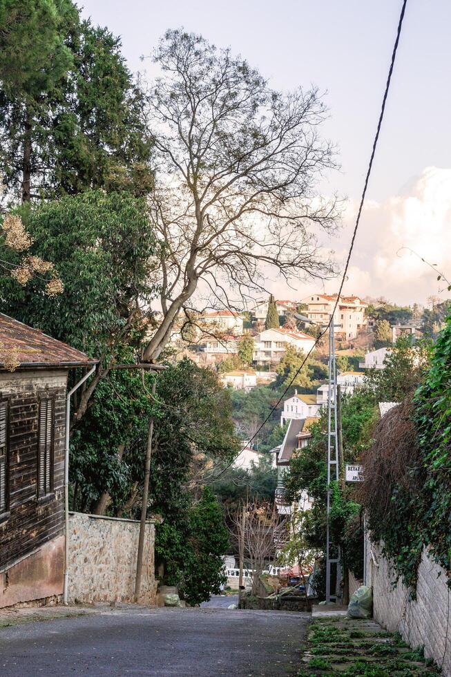 istanbul, Kalkon - januari 06, 2023. en bostads- gata med färgrik hus. där är en få träd på antingen sida av de gata och de himmel är blå med några moln i de bakgrund. foto