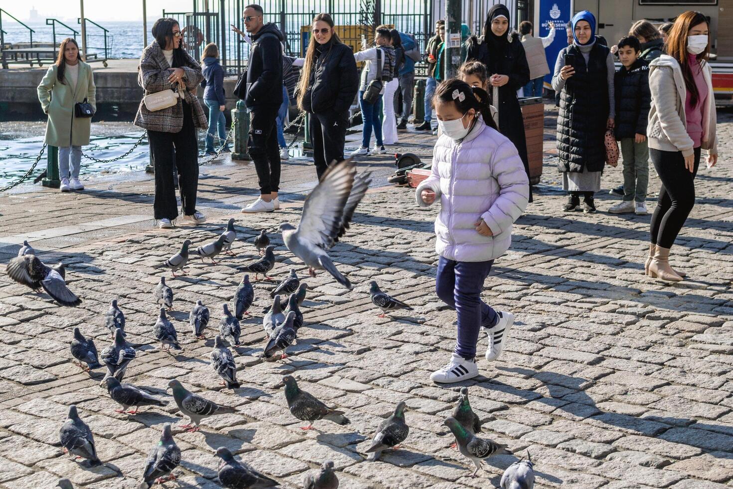 istanbul, Kalkon - december 29, 2022. förtjusande liten flicka i vit jacka gående bland duvor i vibrerande stad fyrkant på en solig dag foto