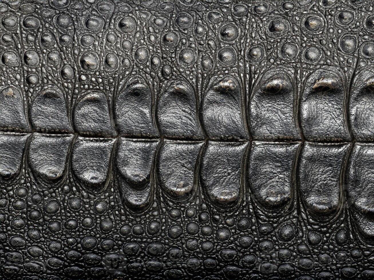 krokodil läder bakgrund stänga upp foto