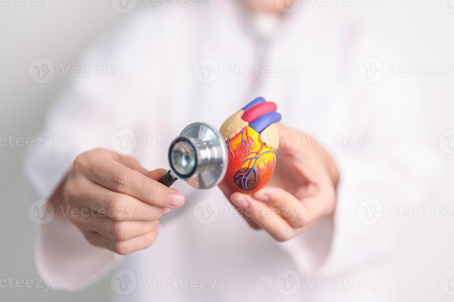 läkare håll hjärta anatomi modell med stetoskop. kardiovaskulär sjukdomar, åderförkalkning, hypertensiv hjärta, valvulär hjärta, aortopulmonell fönster. värld hjärta dag och hälsa försäkring begrepp foto