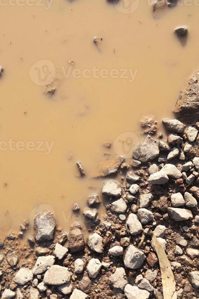 makro fotografi av pöl av vatten på sand och sten väg foto