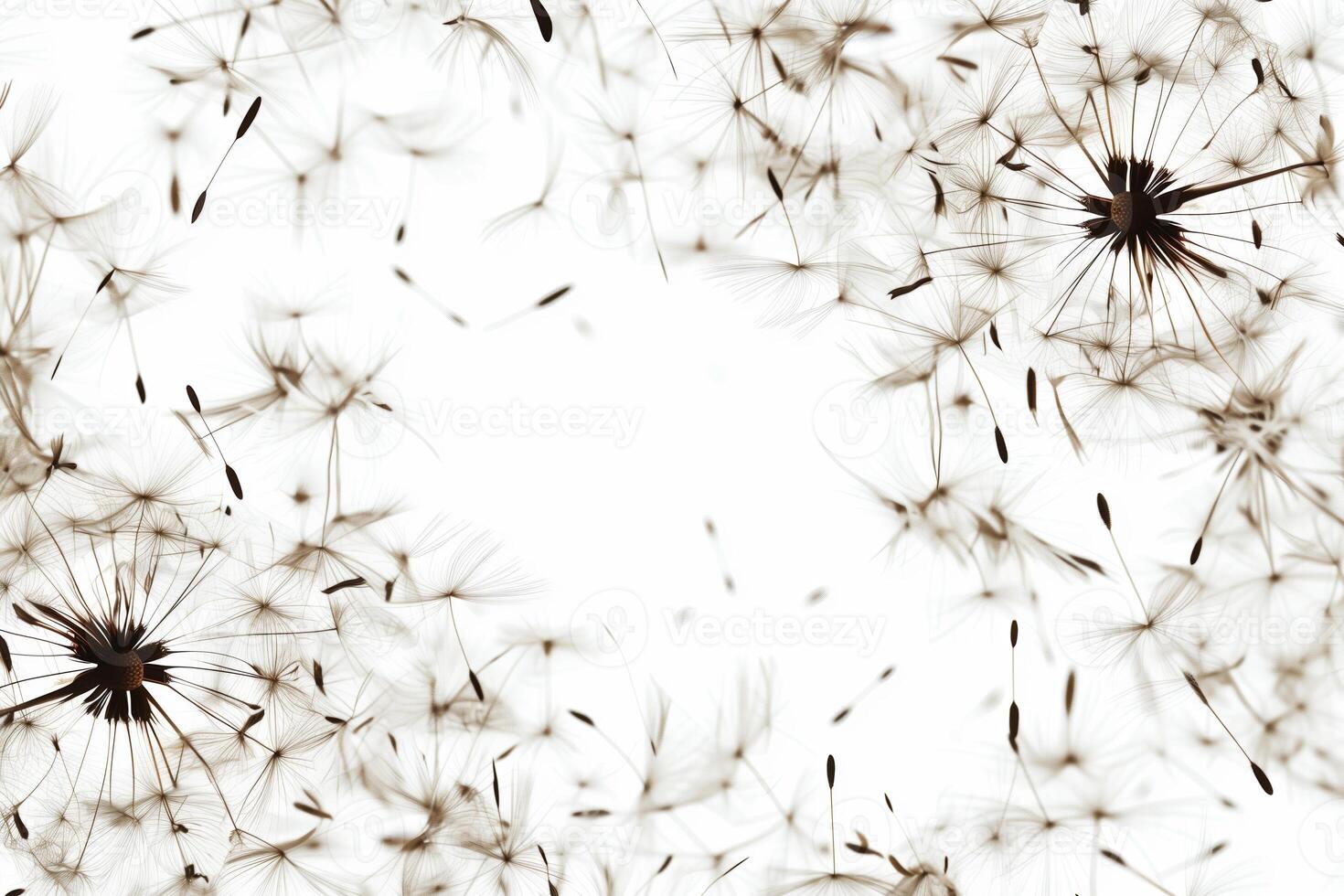 abstrakt bakgrund skärmsläckare närbild av maskros blomma och dess frön foto