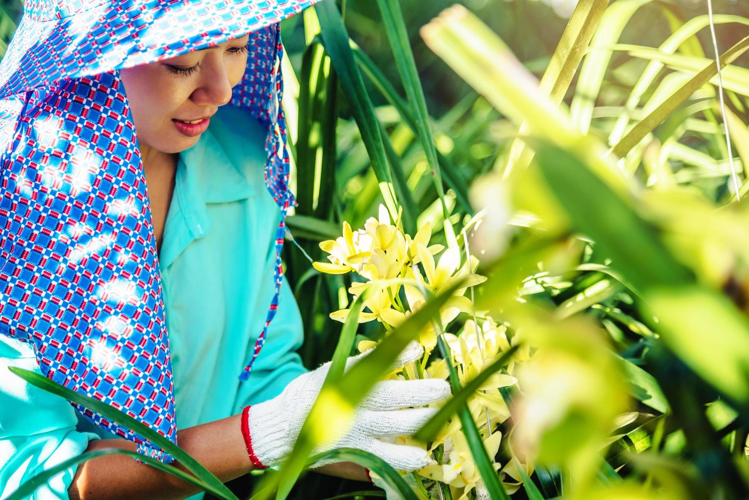 den unga kvinnan arbetaren tar hand om orkidéblomman i trädgården. cymbidium orkidé gul. foto