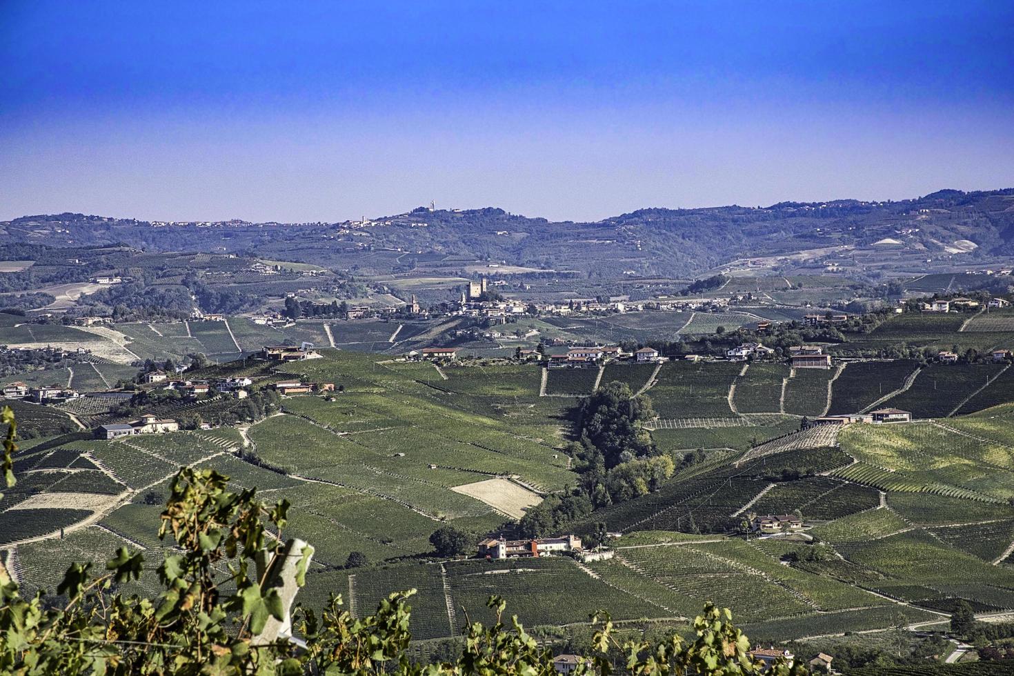 landskap av vingårdarna i den piemontesiska langhe på hösten under druvskörden foto