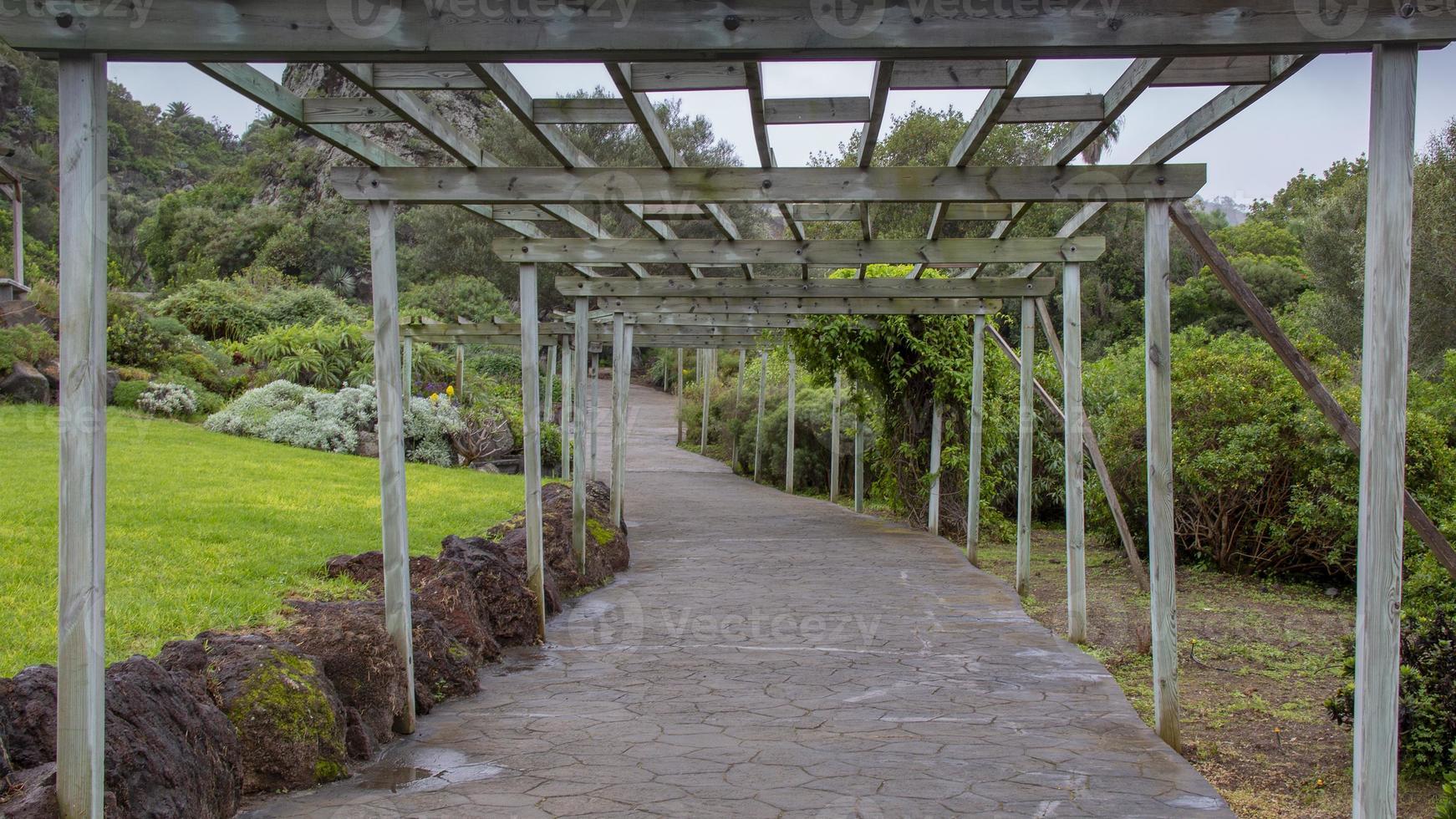 kanarieöarna, gran canaria, spanien foto