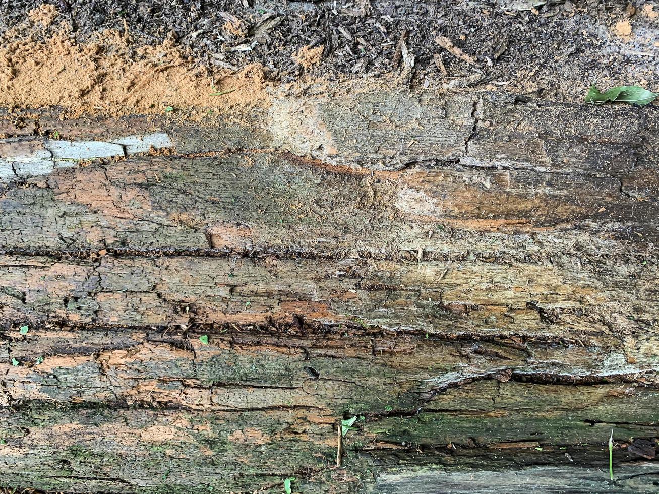 bakgrund, struktur av en gammal ruttnande, skadad träyta foto