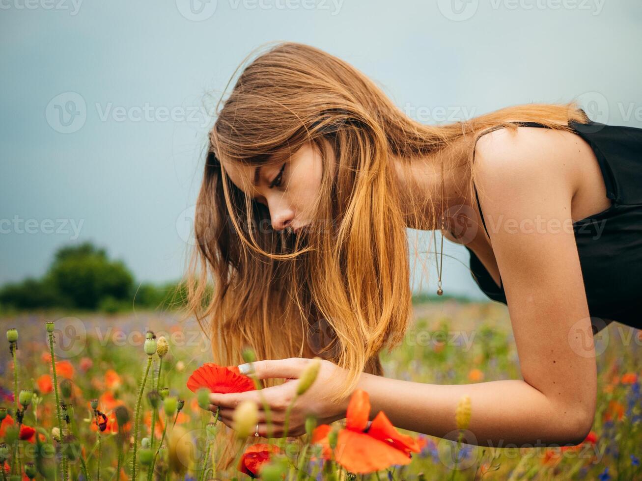 en skön ung flicka i en svart kväll klänning böjd över till lukt de doft av en blomma i en vallmo fält på en molnig sommar dag. porträtt av en kvinna modell utomhus. regnig väder. grå moln. foto