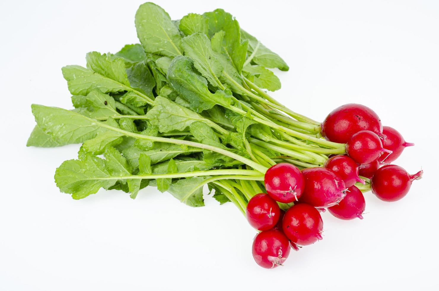 gäng unga röda färska rädisor med gröna blad isolerad på vit bakgrund, diet vegetarisk meny. studiofoto foto