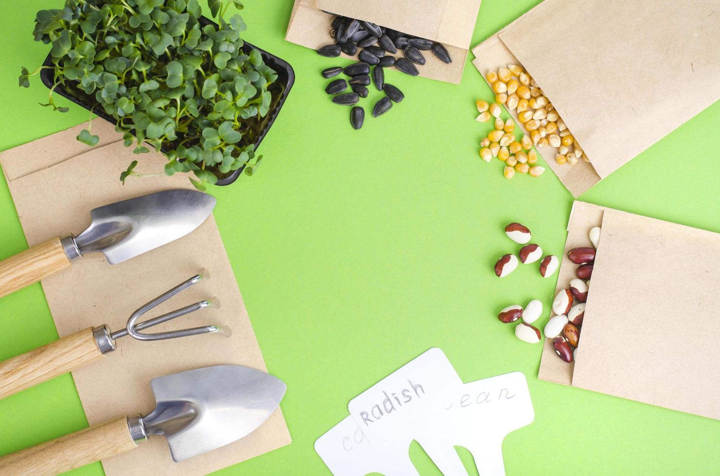 vårberedning och planering för sådd av grönsaker. vegetabiliska frön i hantverkspapperskuvert. säsongsbetonat trädgårdsarbete foto