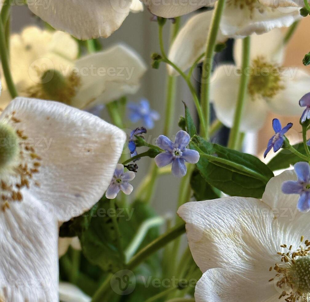 en lugn arrangemang av vit vår blommor och delikat blå glöm-mig-inte i en klar glas burk, uppsättning mot en mjuk ljus bakgrund, förkroppsligande friskhet och naturlig skönhet. foto