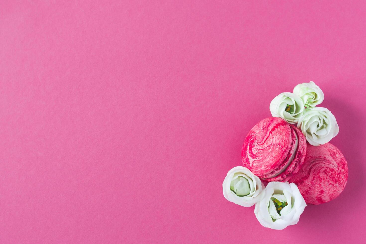 sammansättning av två rosa franska macarons och vit blommor. platt lägga, plats för text. foto