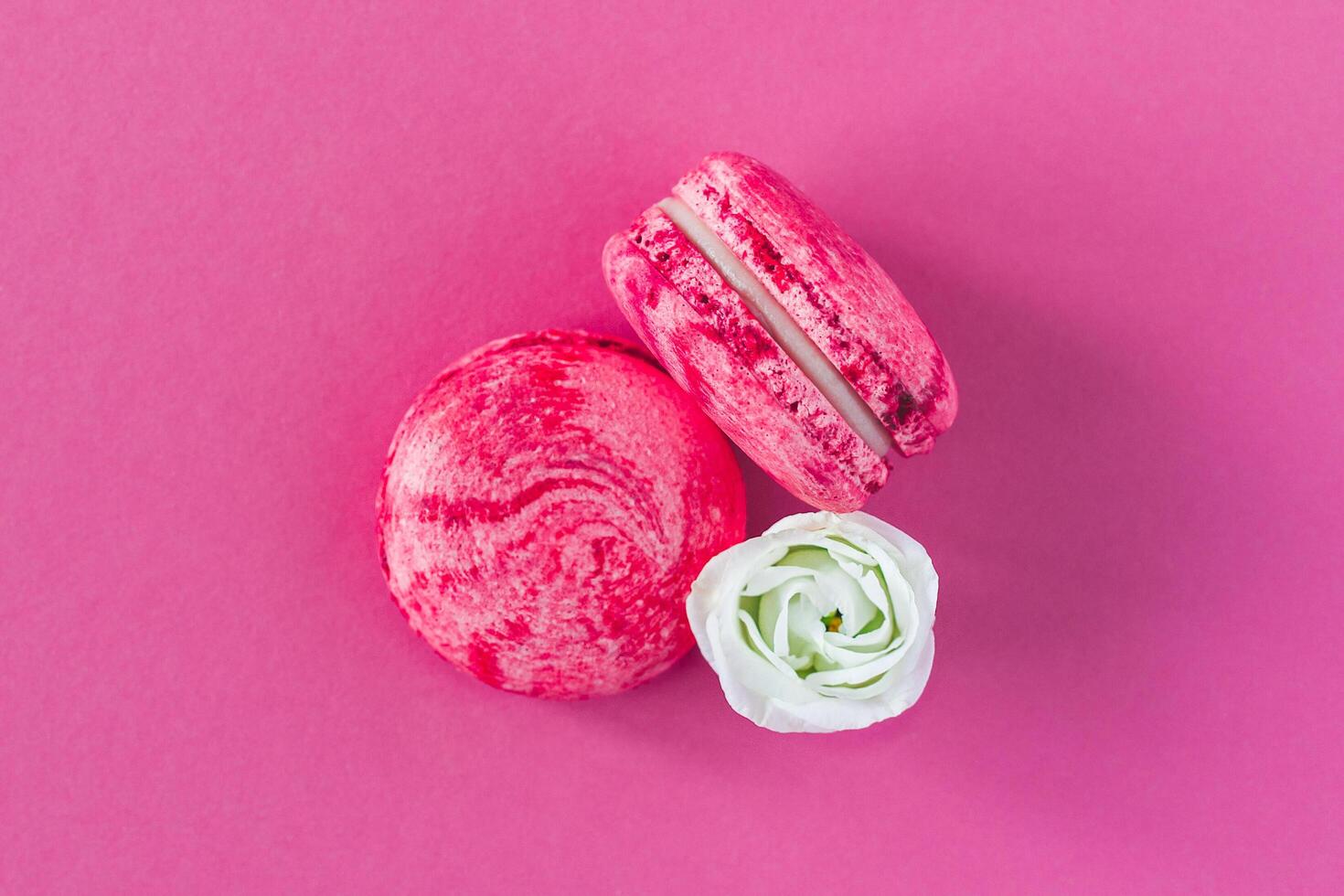 två rosa franska macarons med vit blomma. platt lägga, stänga upp. foto