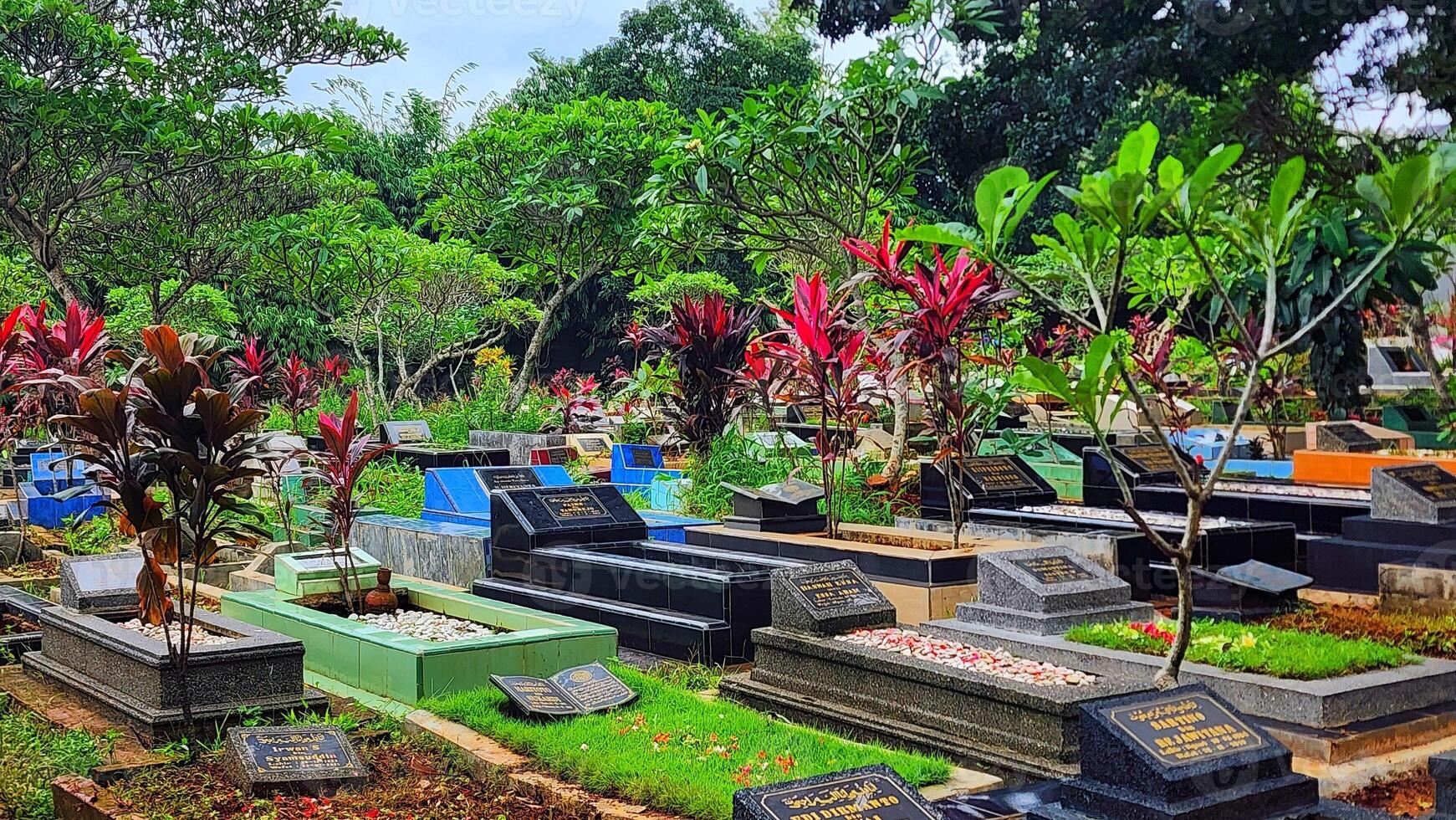 en kyrkogård med många gravar och träd foto