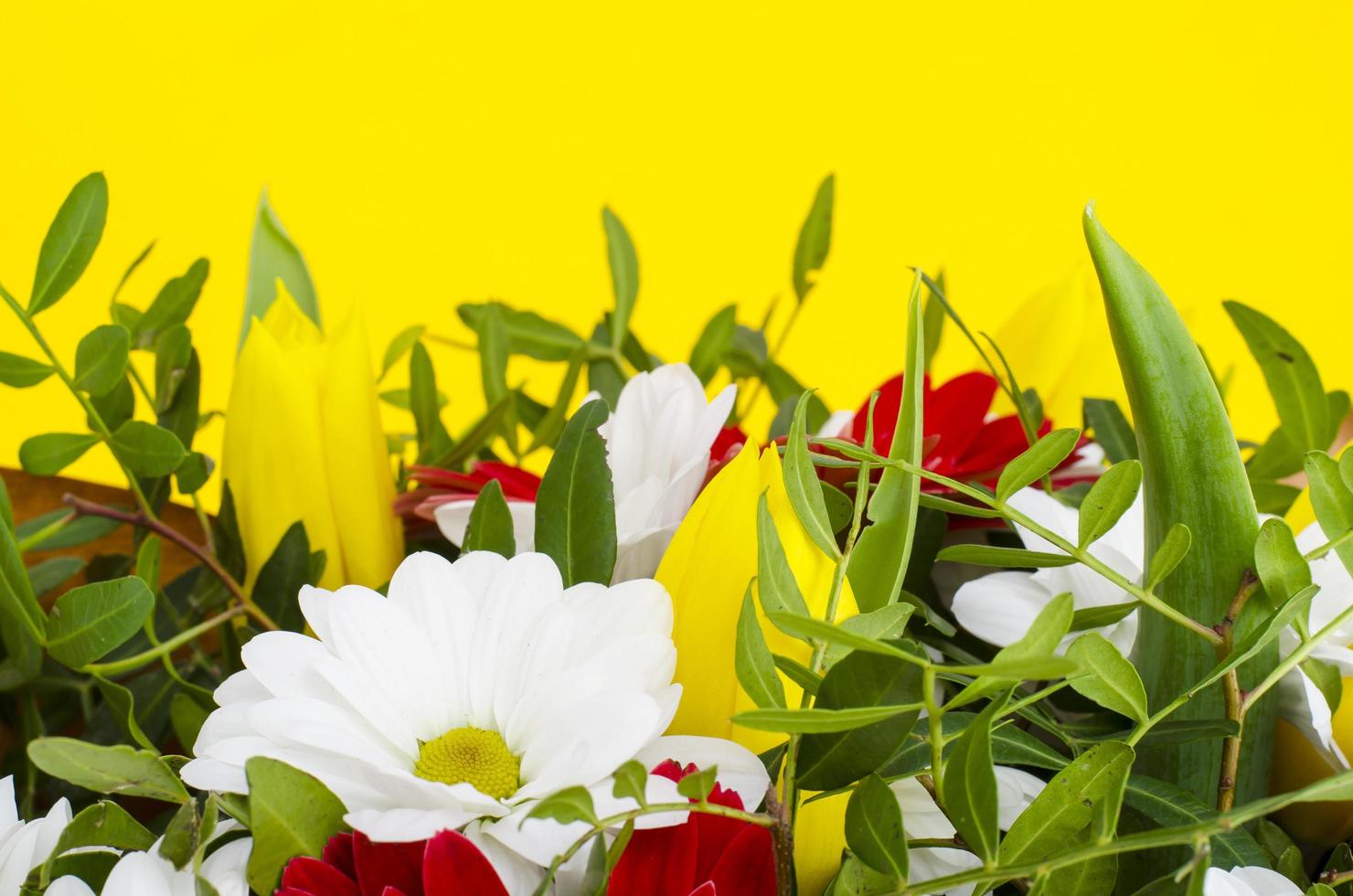 läcker bukett blommor på gul bakgrund. studiofoto. foto