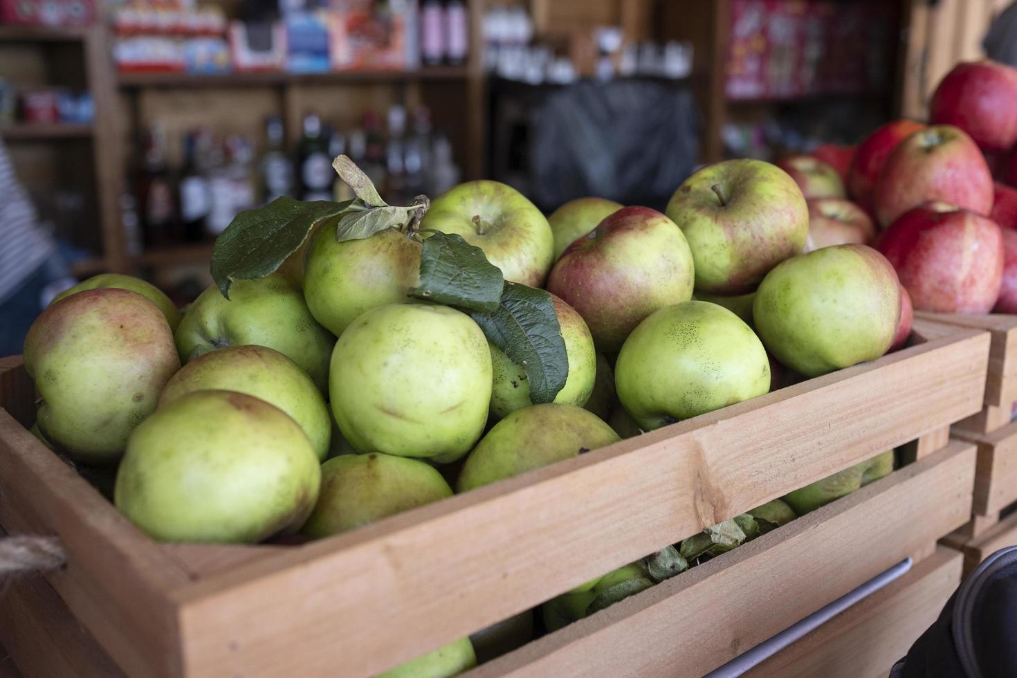 äppelbatchbox för framställning av cider foto