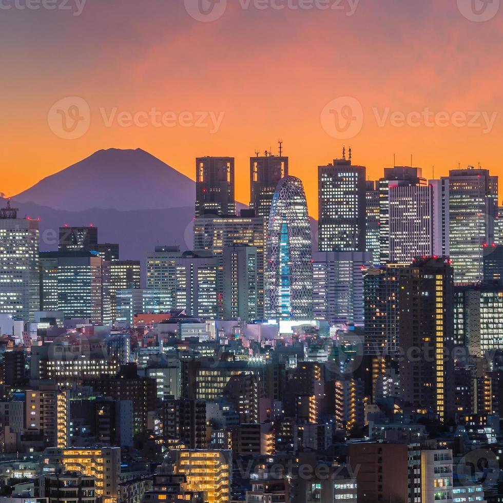 Tokyos skyline och bergsfuji foto