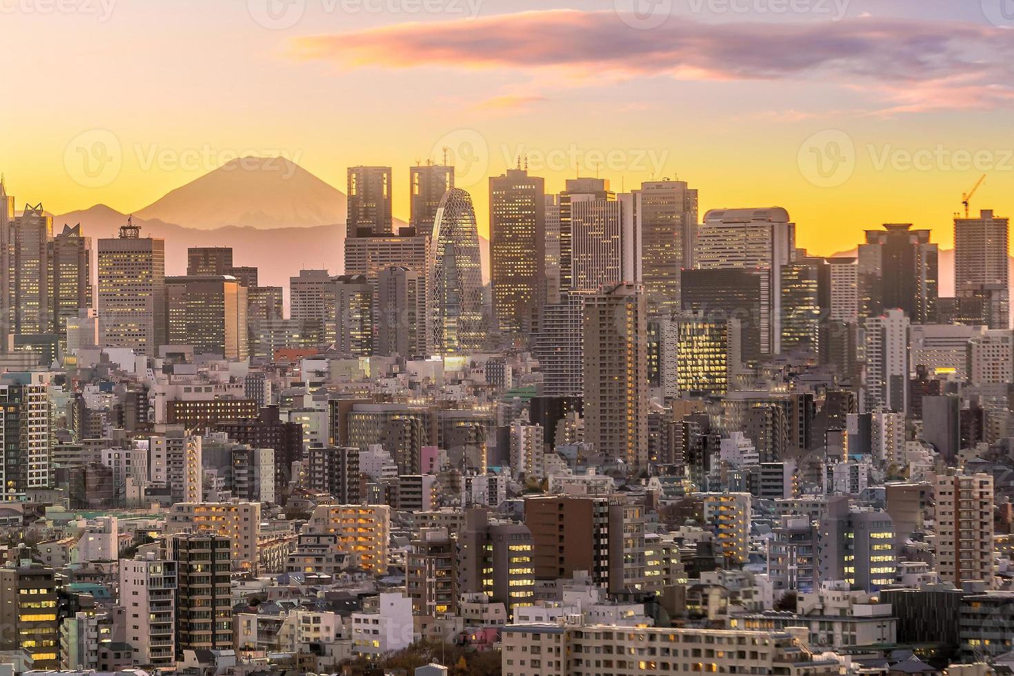 Tokyos skyline och bergsfuji foto