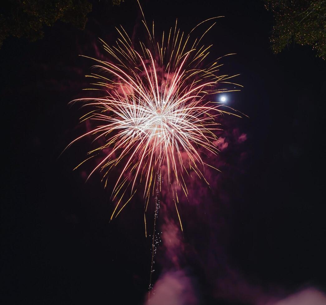 fyrverkeri explodera i de mörk himmel fira de årlig festival. foto