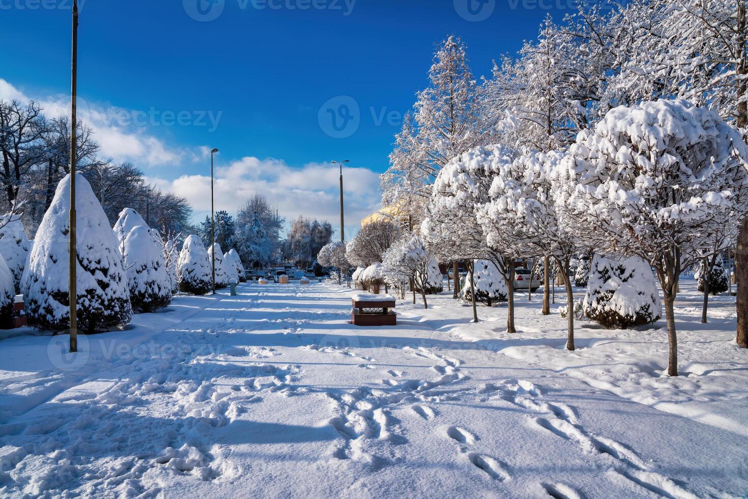 solnedgång eller gryning i en vinter- stad parkera med träd täckt med snö och is. foto