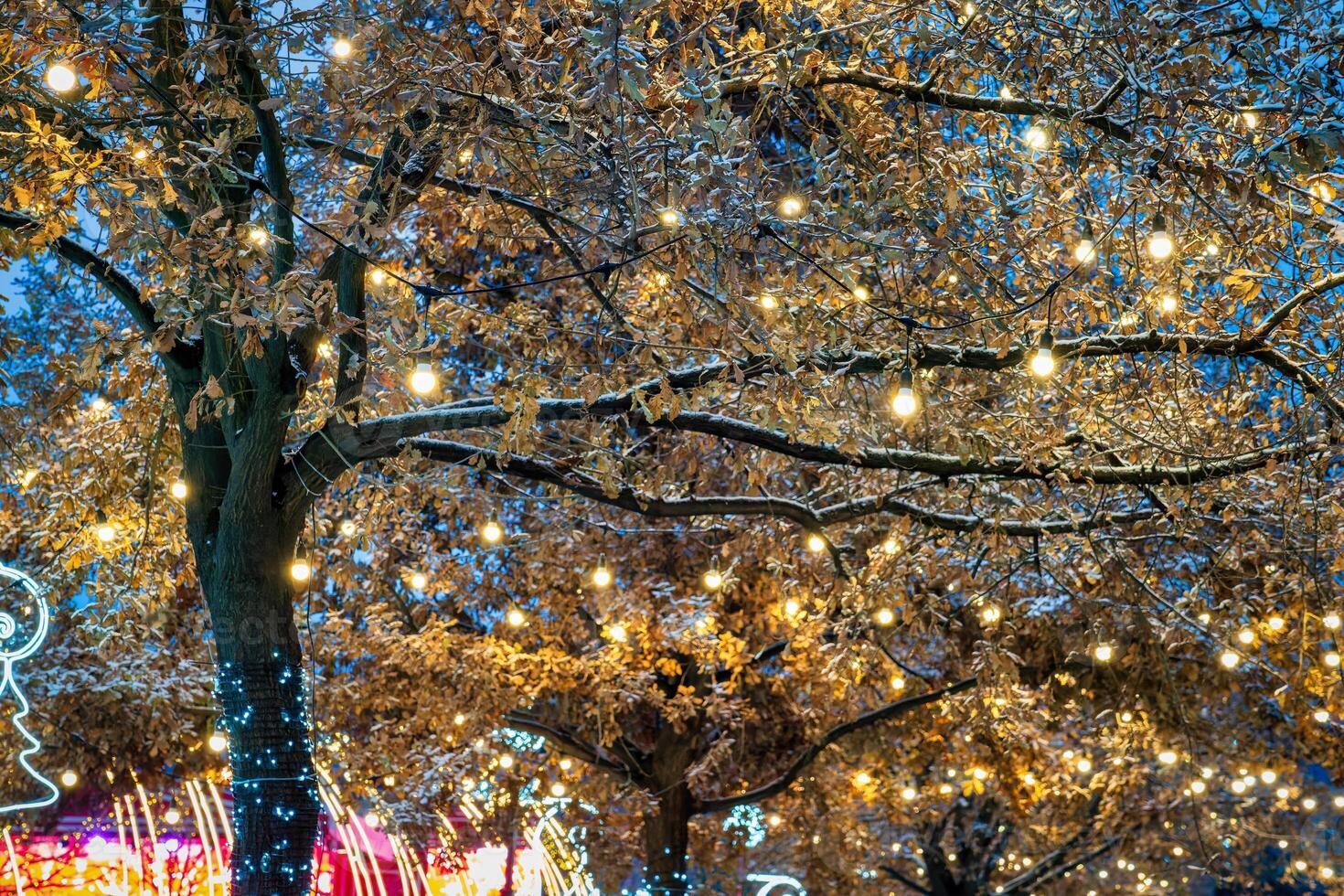en träd dekorerad med festlig kransar med lysande lökar mot de bakgrund av de natt himmel. foto