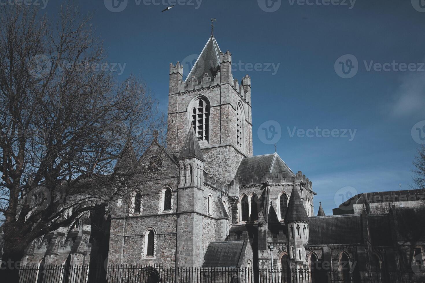 christ kyrka katedral i dublin, irland foto