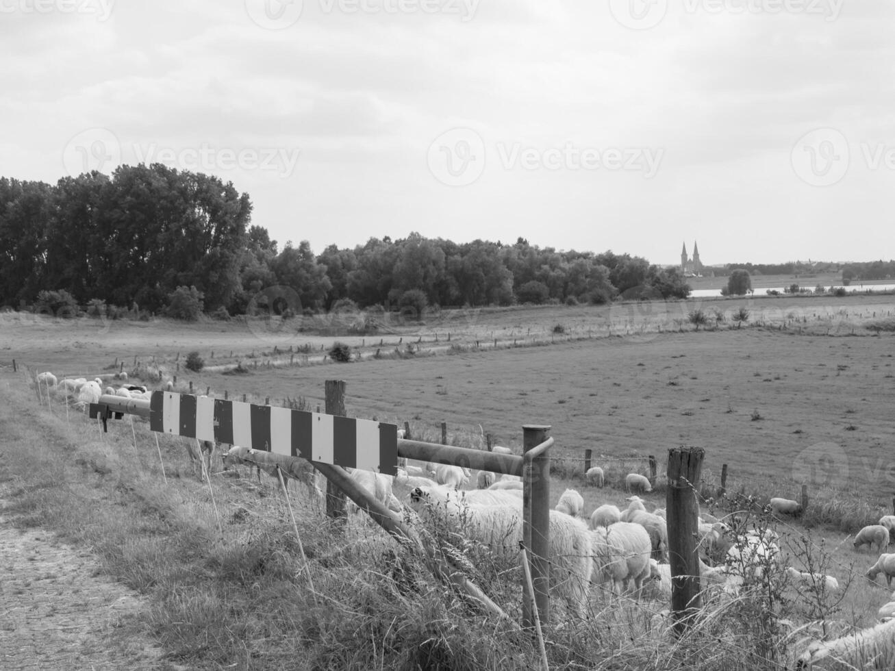 i de tysk muensterland foto