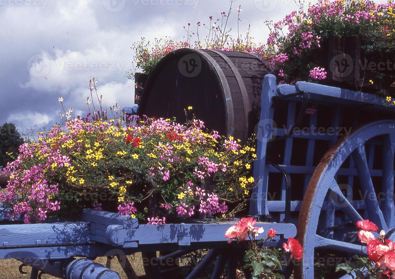 en vagn med blommor på den foto